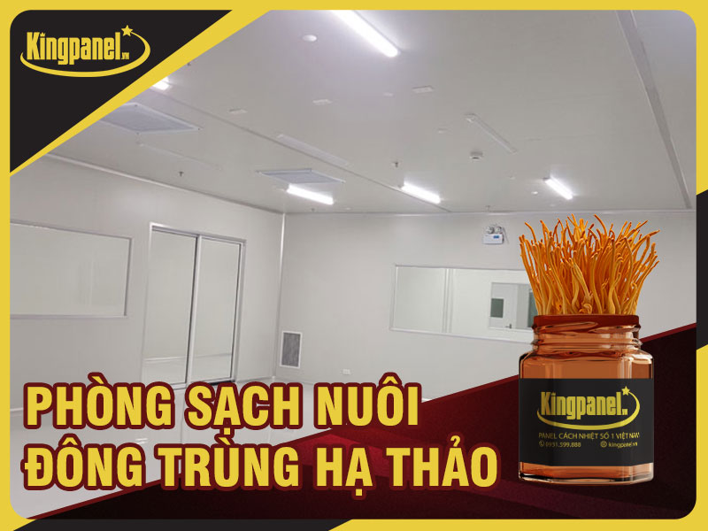 Phòng sạch nuôi đông trùng hạ thảo