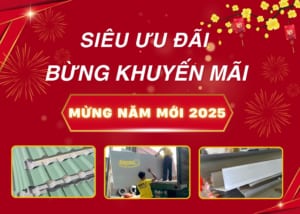 Ưu đãi mừng năm mới 2025