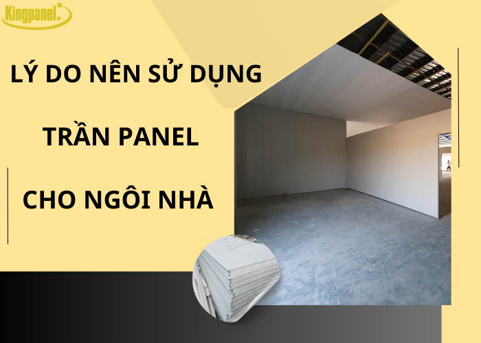 ly-do-nen-su-dung-tran-panel-cach-nhiet-cho-ngoi-nha-cua-ban