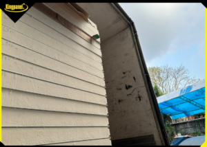 top-5-yeu-to-anh-huong-den-gia-panel-pu-8