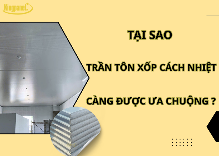 tai-sao-tran-ton-xop-cach-nhiet-cang-duoc-ua-chuong