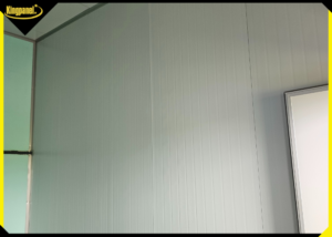 Tam-panel-EPS-giai-phap-cho-vach-tran-nha-cong-nghiep-3