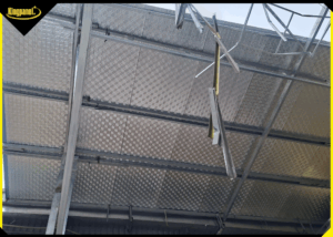 5-dieu-nen-biet-khi-chon-tran-ton-pu-4