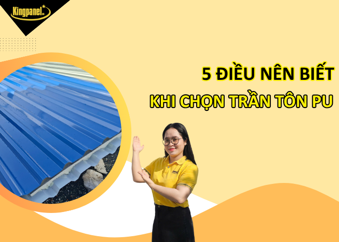 5-dieu-nen-biet-khi-chon-tran-ton-pu