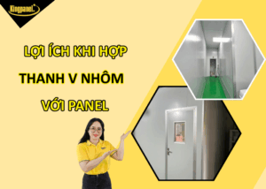 Loi-ich-khi-ket-hop-thanh-V-nhom-voi-panel