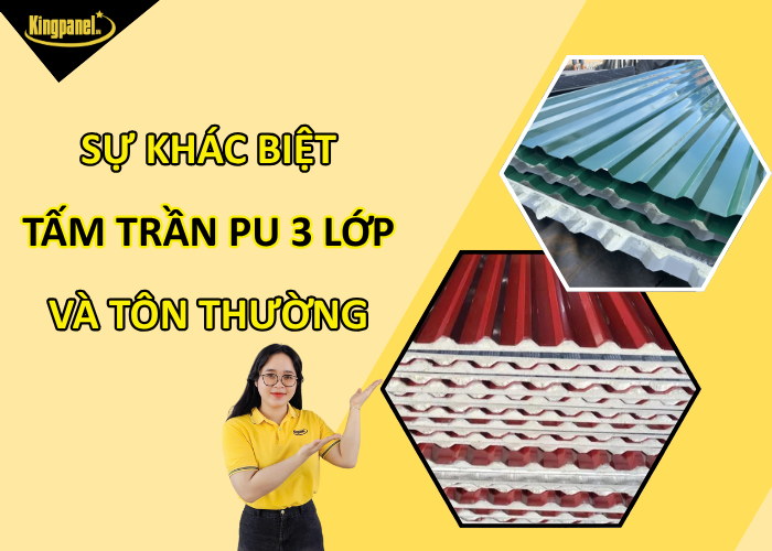 Su-khac-biet-tam-tran-ton-pu-3-lop-va-ton-thuong