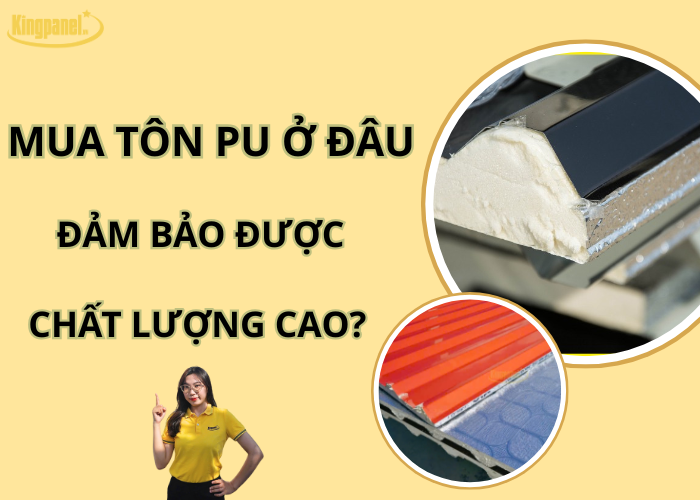 mua-ton-pu-o-dau-dam-bao-duoc-chat-luong-cao