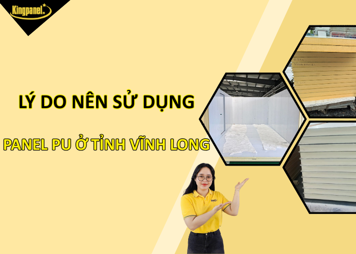 Ly-do-nen-su-dung-panel-pu-o-tinh-vinh-long