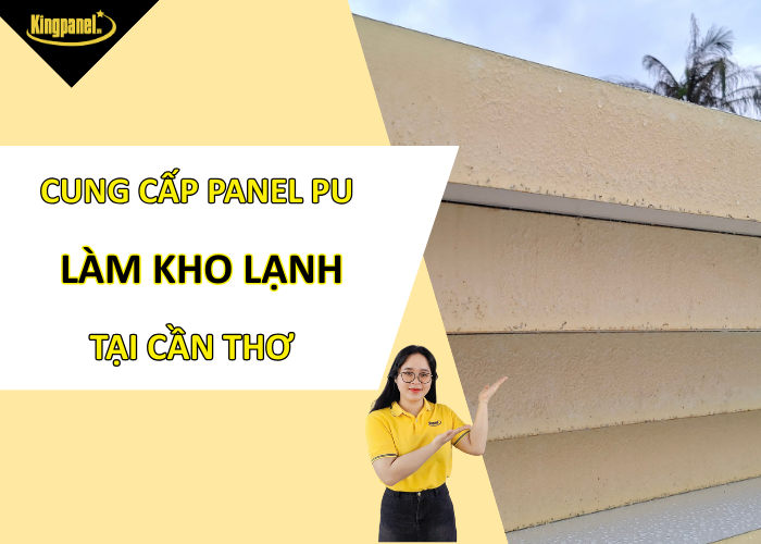 cung-cap-panel-pu-lam-kho-lanh-tai-can-tho