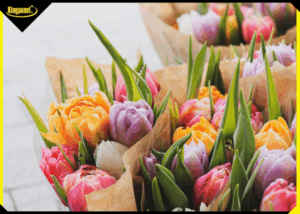 kingpanel-mung-ngay-quoc-te-phu-nu-8_3-3