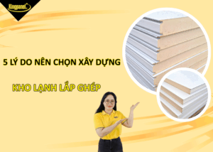 5-ly-do-nen-chon-xay-dung-kho-lanh-lap-ghep