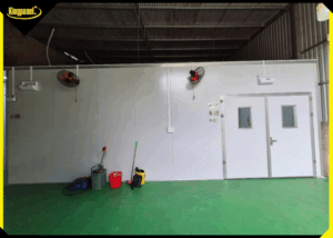 kingpanel-cung-cap-cua-panel-phong-sach-gia-tot-4