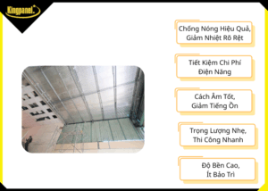 mua-ton-pu-mien-tay-o-dau-uy-tin-gia-tot-2