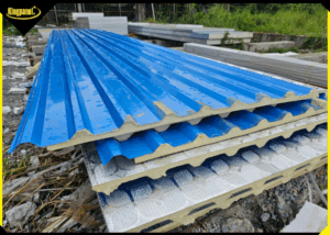 ton-pu-la-gi-ton-pu-co-may-loai-nen-chon-loai-nao-1