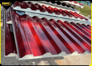 ton-pu-la-gi-ton-pu-co-may-loai-nen-chon-loai-nao-2