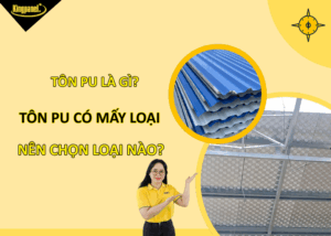 ton-pu-la-gi-ton-pu-co-may-loai-nen-chon-loai-nao