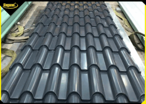 ton-pu-la-gi-ton-pu-co-may-loai-nen-chon-loai-nao-5