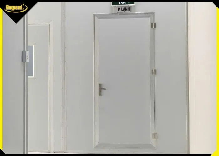 Cửa panel 1 cánh bản lề mở quay