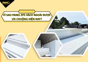 vi-sao-panel-eps-vach-ngoai-duoc-ua-chuong-hien-nay